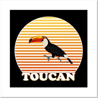 Toucan Bird Watching Birding Ornithologist Gift Posters and Art